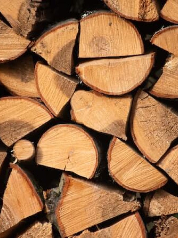 Venda llenya Cerdanya